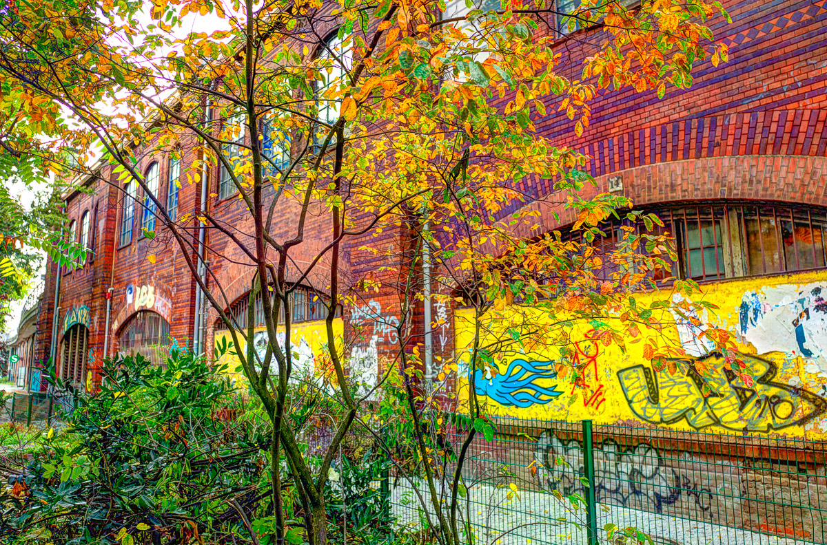 Photograph from Berlin series by Luther Smith