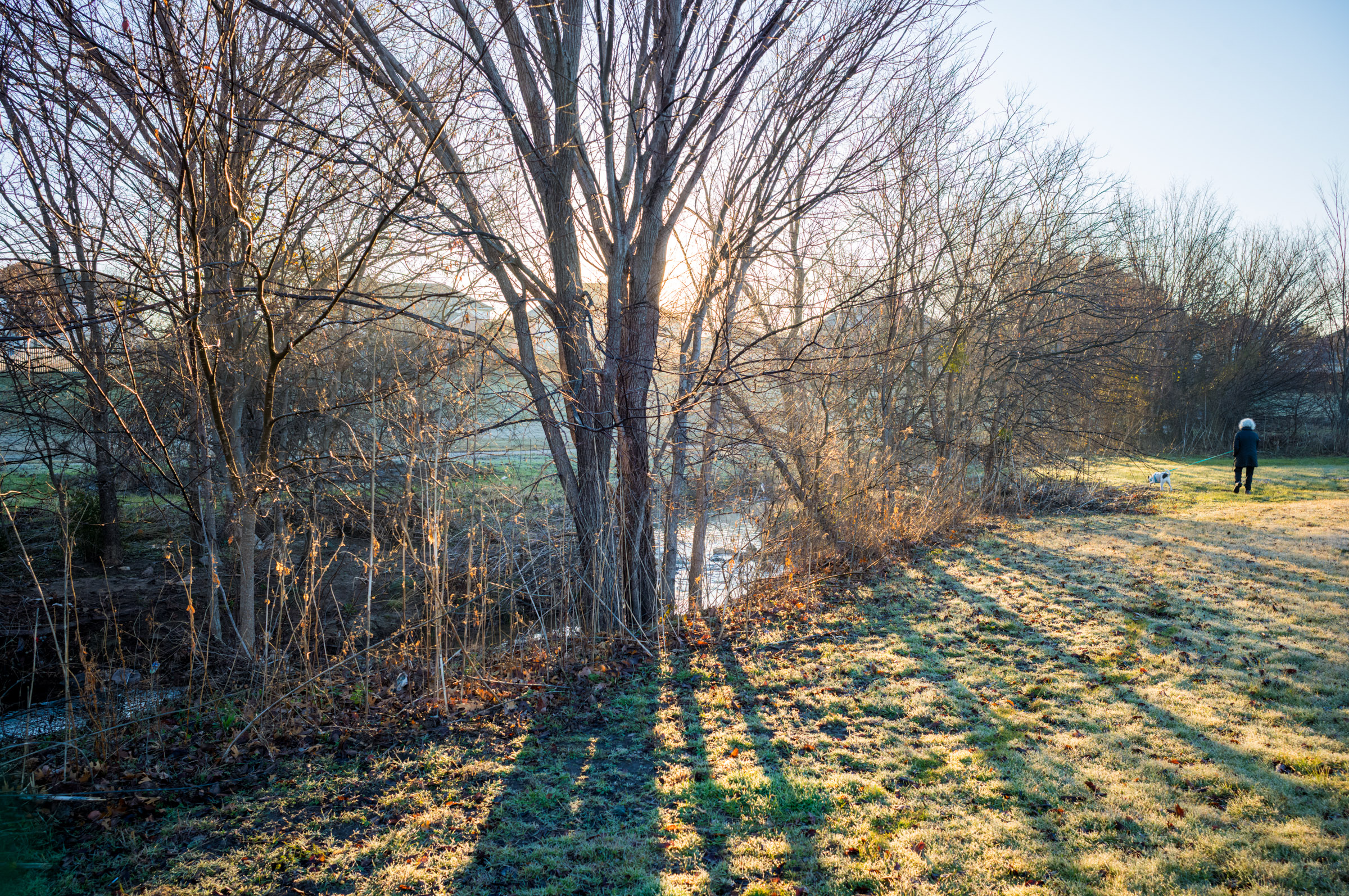 Morning Walk photograph by Luther Smith