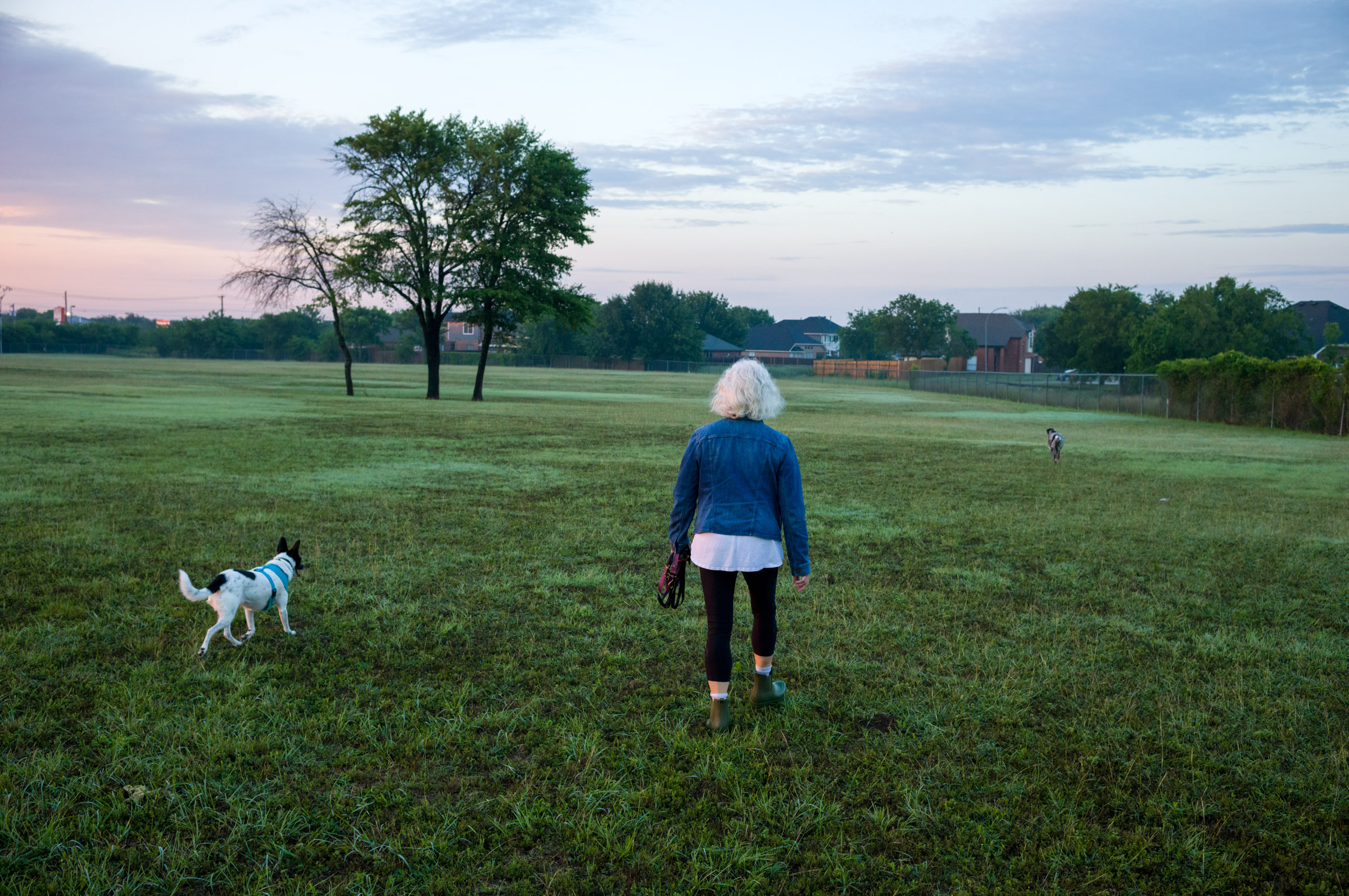 Morning Walk photograph by Luther Smith
