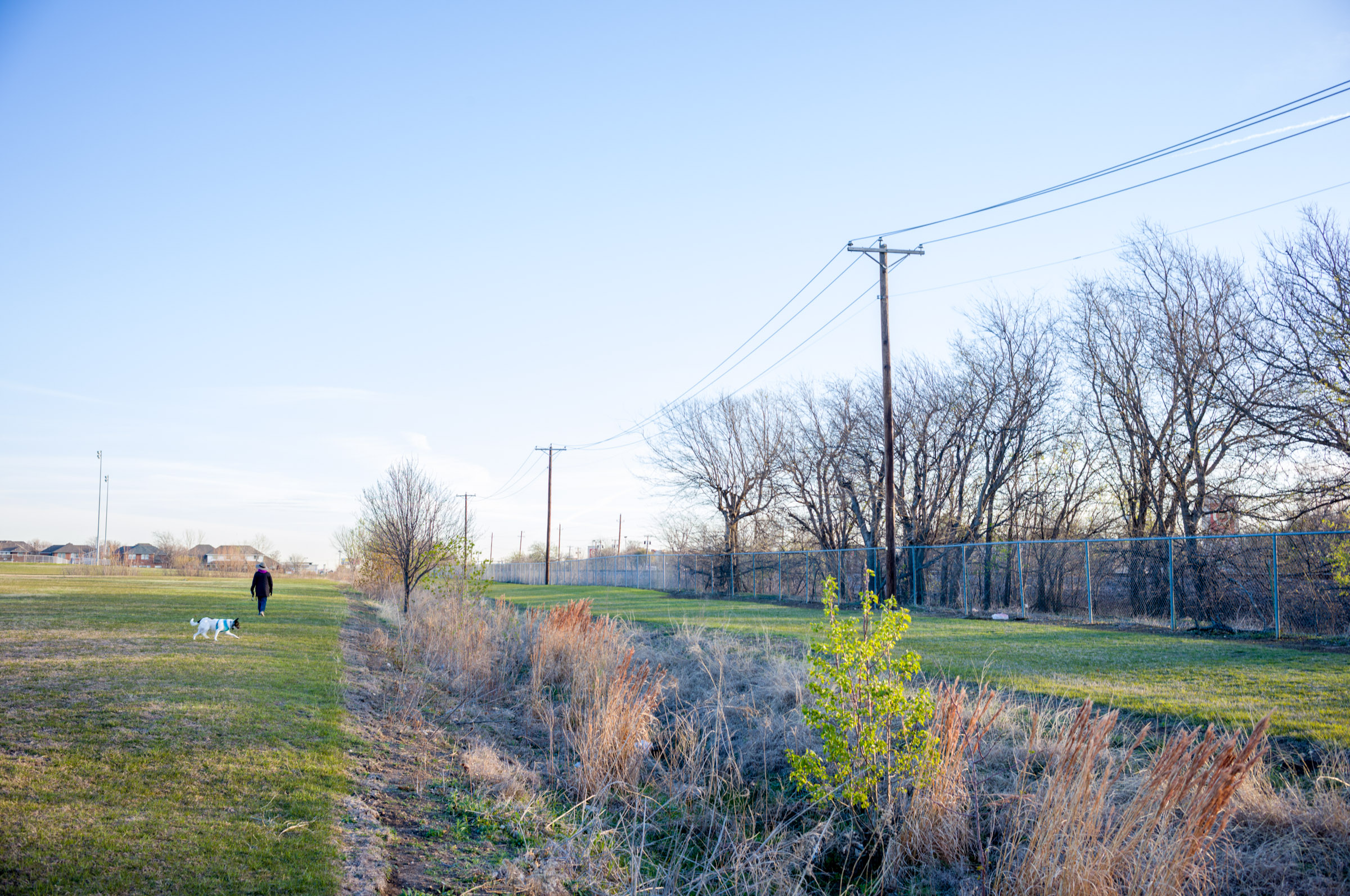 Morning Walk photograph by Luther Smith