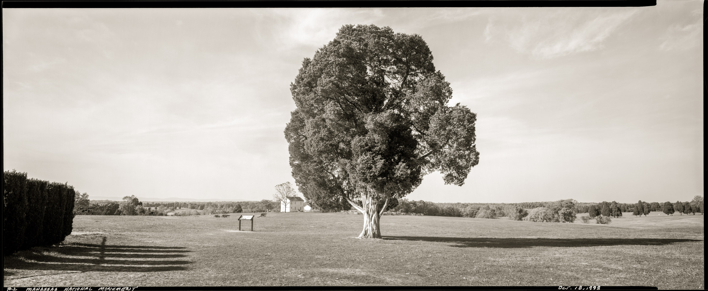 Manassas Battlefield tree panorama